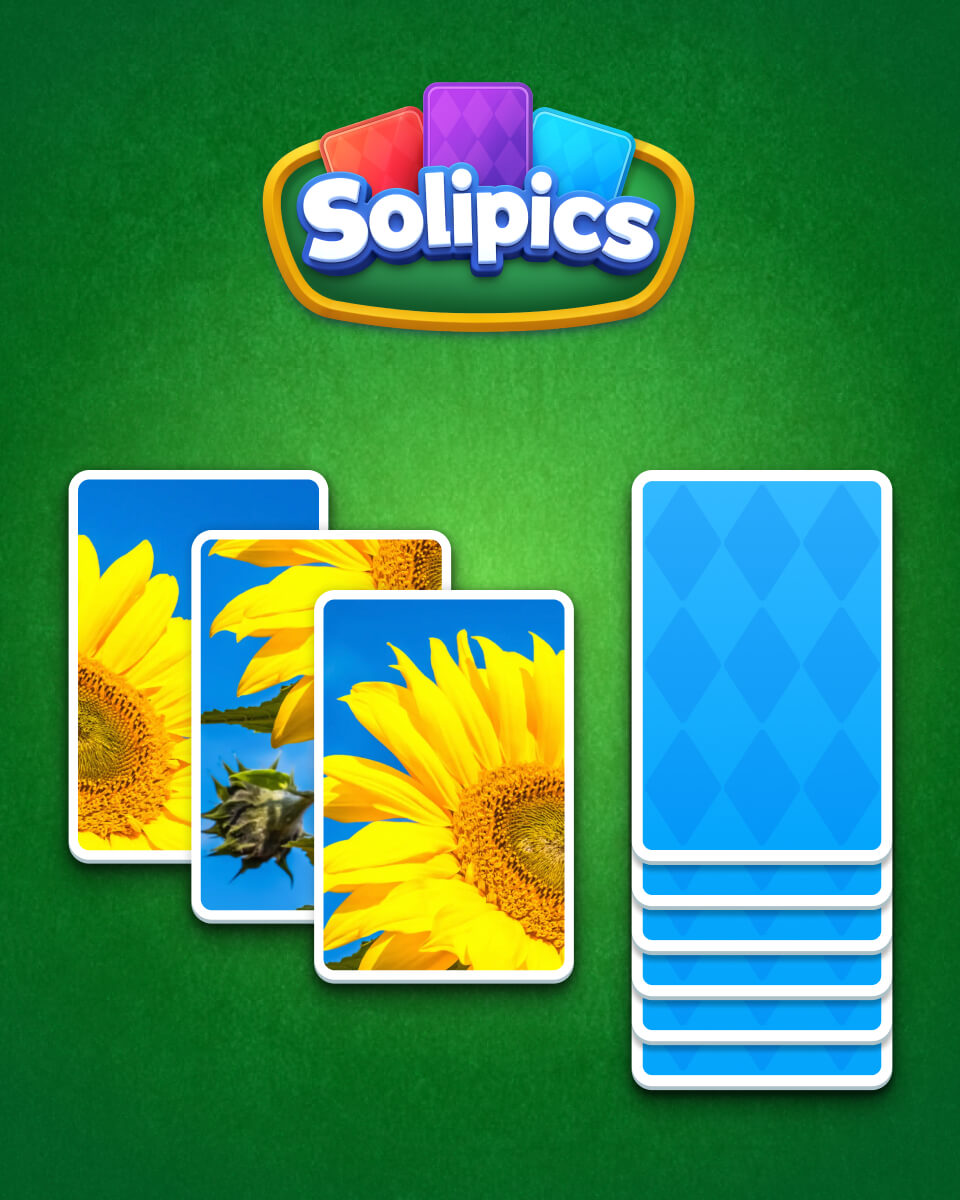 Solipics